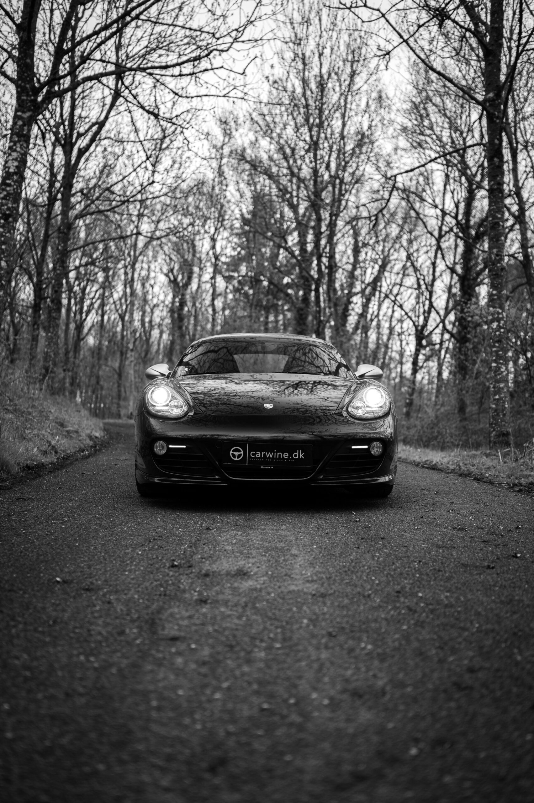 Porsche Cayman - Carwine biler